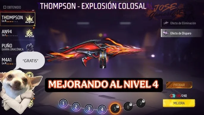 Participación en eventos especiales